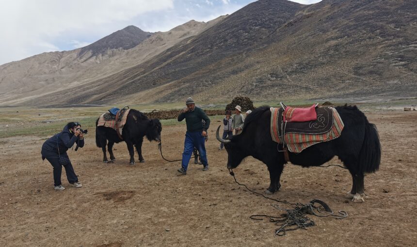 IMG_20220816_135825 (2)